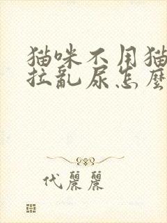 猫咪不用猫砂乱拉乱尿怎么办