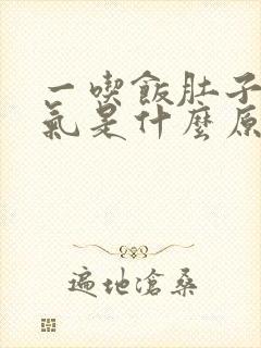 一吃饭肚子就胀气是什么原因