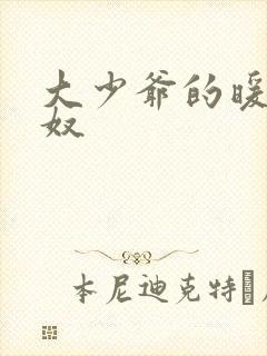 大少爷的暖床小奴