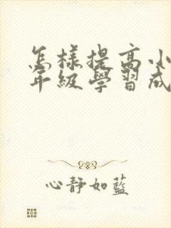 怎样提高小学三年级学习成绩封面