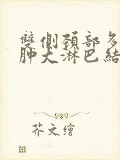 双侧颈部多发稍肿大淋巴结