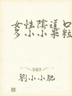 女性阴道口长很多小小米粒是怎么回事封面