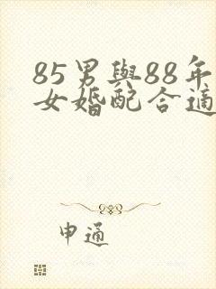 85男与88年女婚配合适吗封面