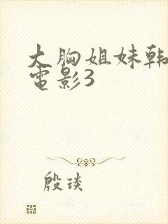 大胸姐妹韩国剧电影3封面