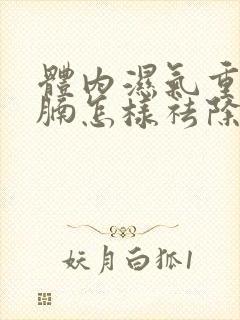 体内湿气重大肚腩怎样祛除
