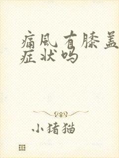 痛风有膝盖疼的症状吗封面