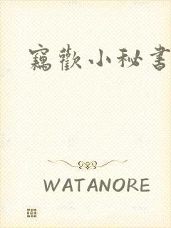 窃欢小秘书