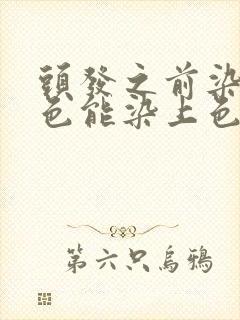 头发之前染过黑色能染上色嘛