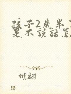 孩子2岁半了还是不说话怎么办封面