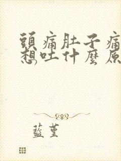 头痛肚子痛恶心想吐什么原因