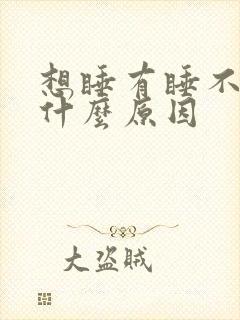 想睡有睡不着是什么原因