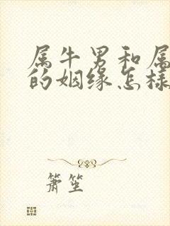 属牛男和属龙女的姻缘怎样封面