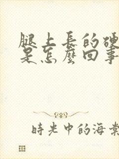 腿上长的硬疙瘩是怎么回事封面