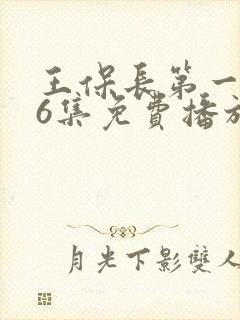 王保长第一部26集免费播放