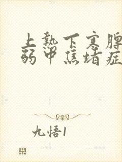 上热下寒脾胃虚弱中焦堵症状