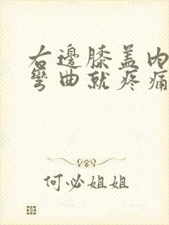 右边膝盖内侧一弯曲就疼痛,有异响