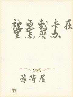 被鱼刺卡在嗓子里怎么办