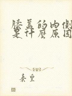 膝盖的内侧疼痛是什么原因封面