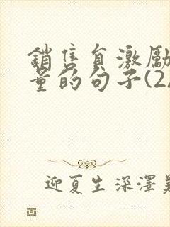 销售员激励正能量的句子(2)封面