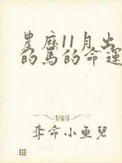 农历11月出生的马的命运