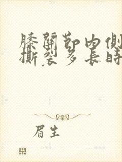 膝关节内侧韧带撕裂多长时间能好封面