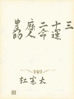 农历二十三出生的人命运