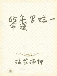 65年男蛇一生命运封面