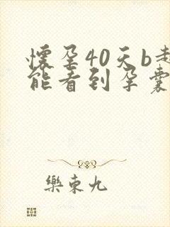 怀孕40天b超能看到孕囊吗