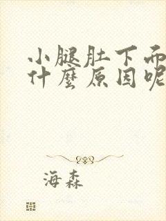 小腿肚下面痒是什么原因呢封面