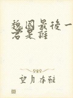 魏国最后一位国君是谁