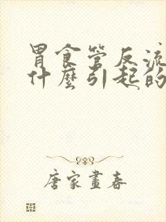 胃食管反流病因什么引起的