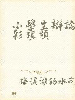 小学生辩论赛精彩视频