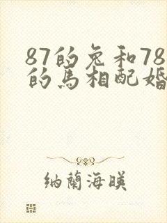 87的兔和78的马相配婚姻如何