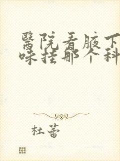 医院看腋下有异味挂那个科