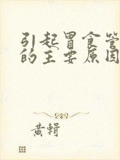 引起胃食管反流的主要原因