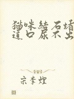 猫咪结石堵住尿道口尿不出来怎么办封面