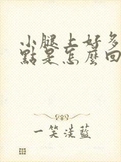 小腿上好多红点点是怎么回事封面