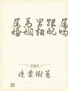 属马男跟属龙女婚姻相配吗封面