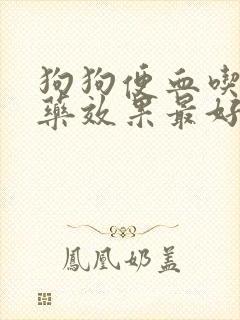 狗狗便血吃什么药效果最好