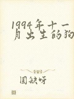 1994年十一月出生的狗命运如何