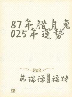 87年腊月兔2025年运势封面