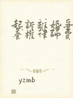 起诉离婚争夺抚养权律师费封面