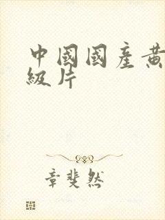 中国国产黄色特级片封面