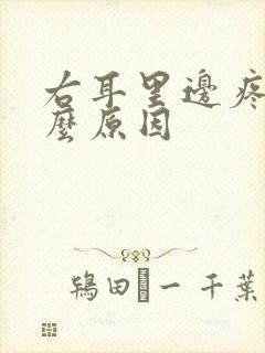 右耳里边疼是什么原因