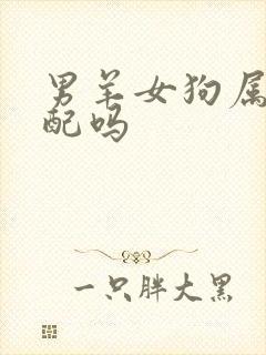 男羊女狗属相相配吗