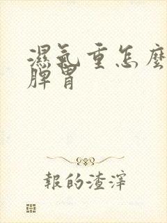 湿气重怎么调养脾胃