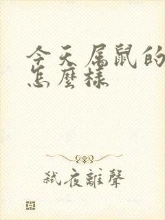 今天属鼠的财运怎么样