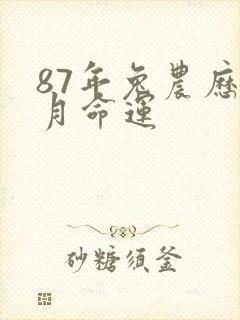 87年兔农历8月命运封面