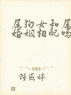 属狗女和属鸡男婚姻相配吗封面