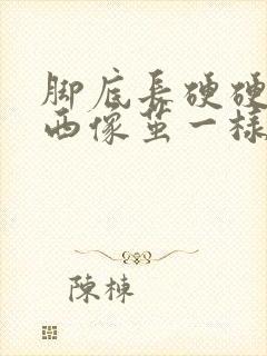 脚底长硬硬的东西像茧一样不痛不痒